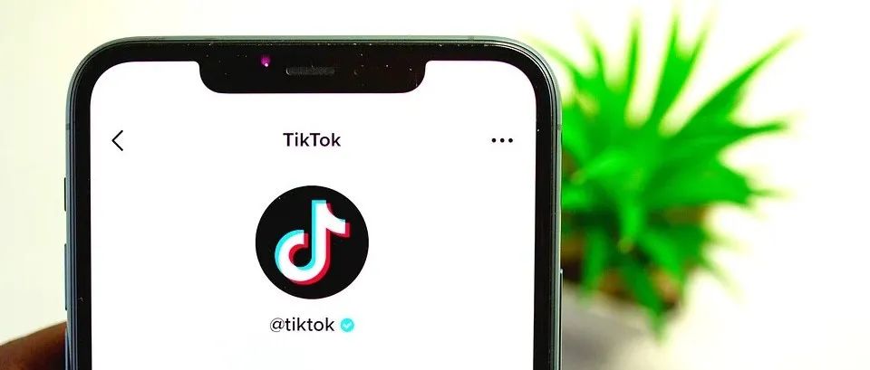 TikTok Shop全面开放入驻！一文了解六大要点